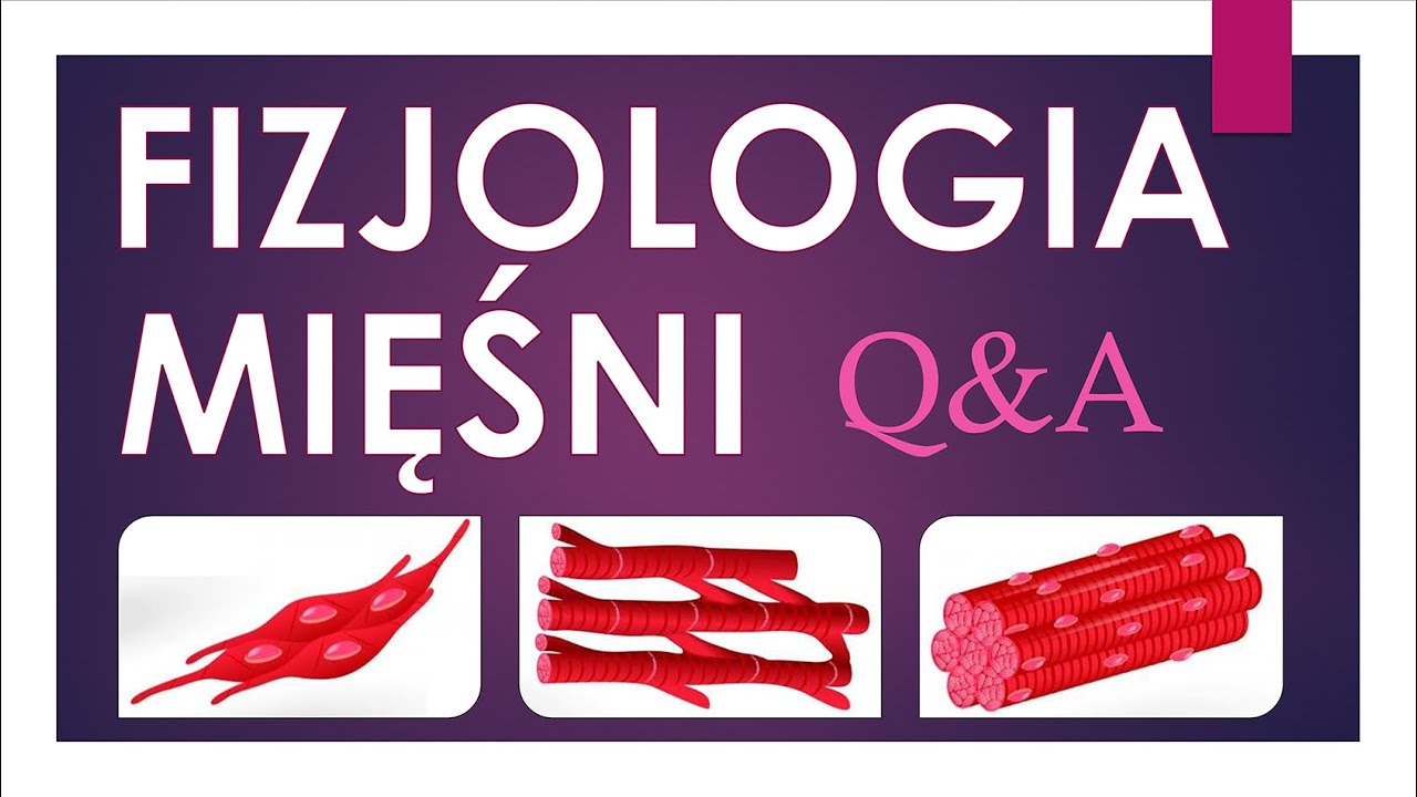 Fizjologia mięśni: Q&A 2021