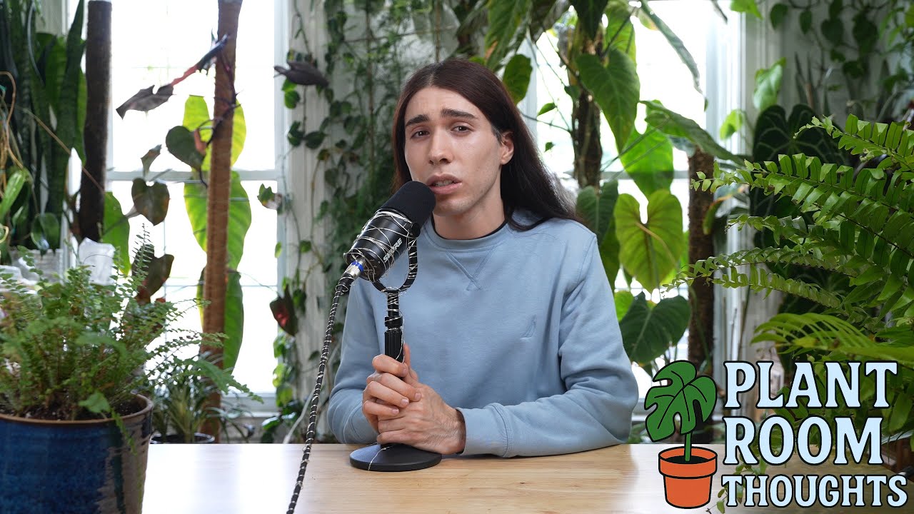 Do Ghosts Shower? | Plant Room Thoughts No. 3
