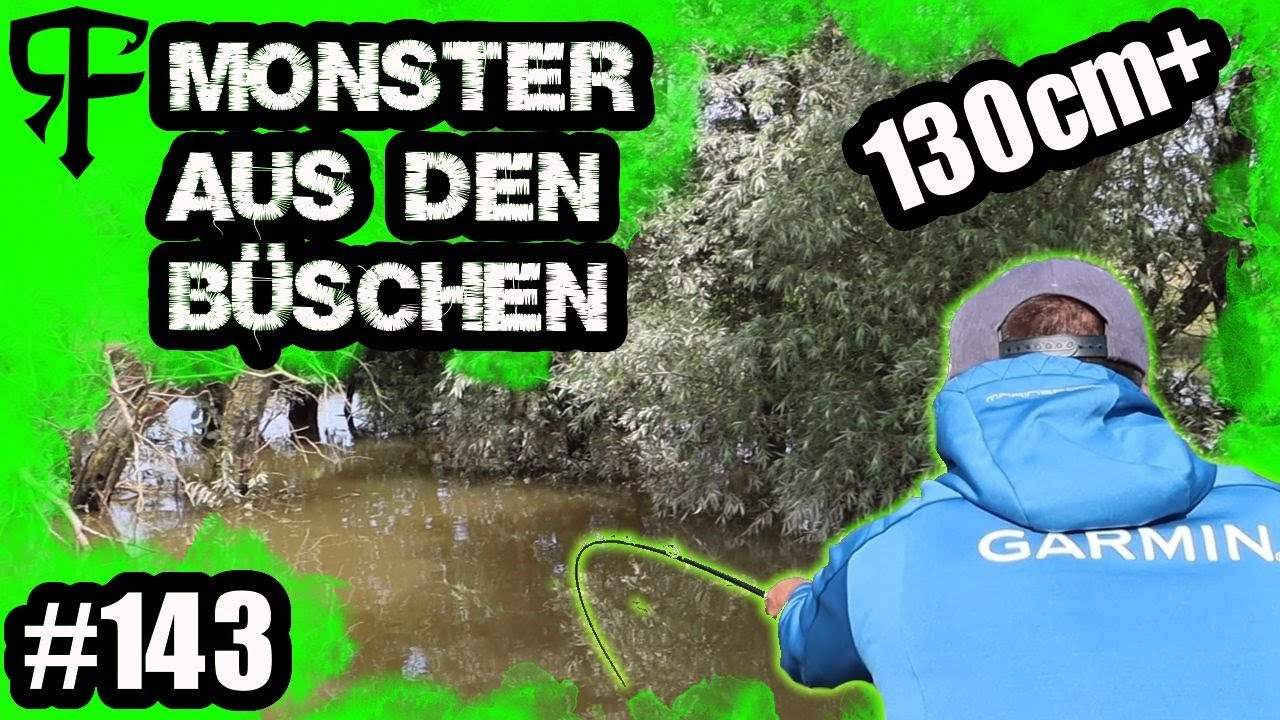 Livebite 130cm+ pike - fishing for river monster at high water in the bushes