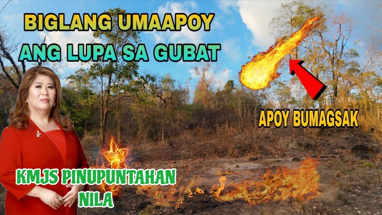PINUNTAHAN NG KMJS ANG UMAAPOY NA LUPA SA MINDORO || BIGLANG UMAPOY ANG GUBAT