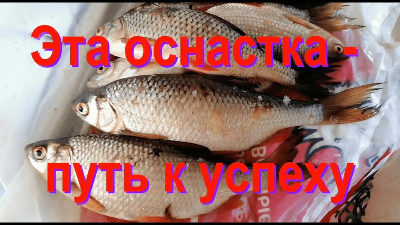 Секретная оснастка чертик от деда - безмотыльщика