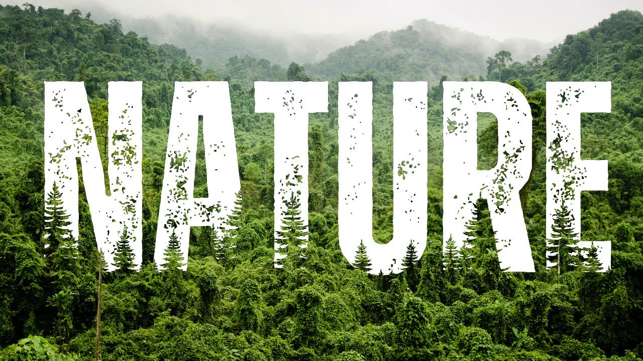 Nature Text Effect Editing in Canva | Create Stunning Nature-Inspired Typography