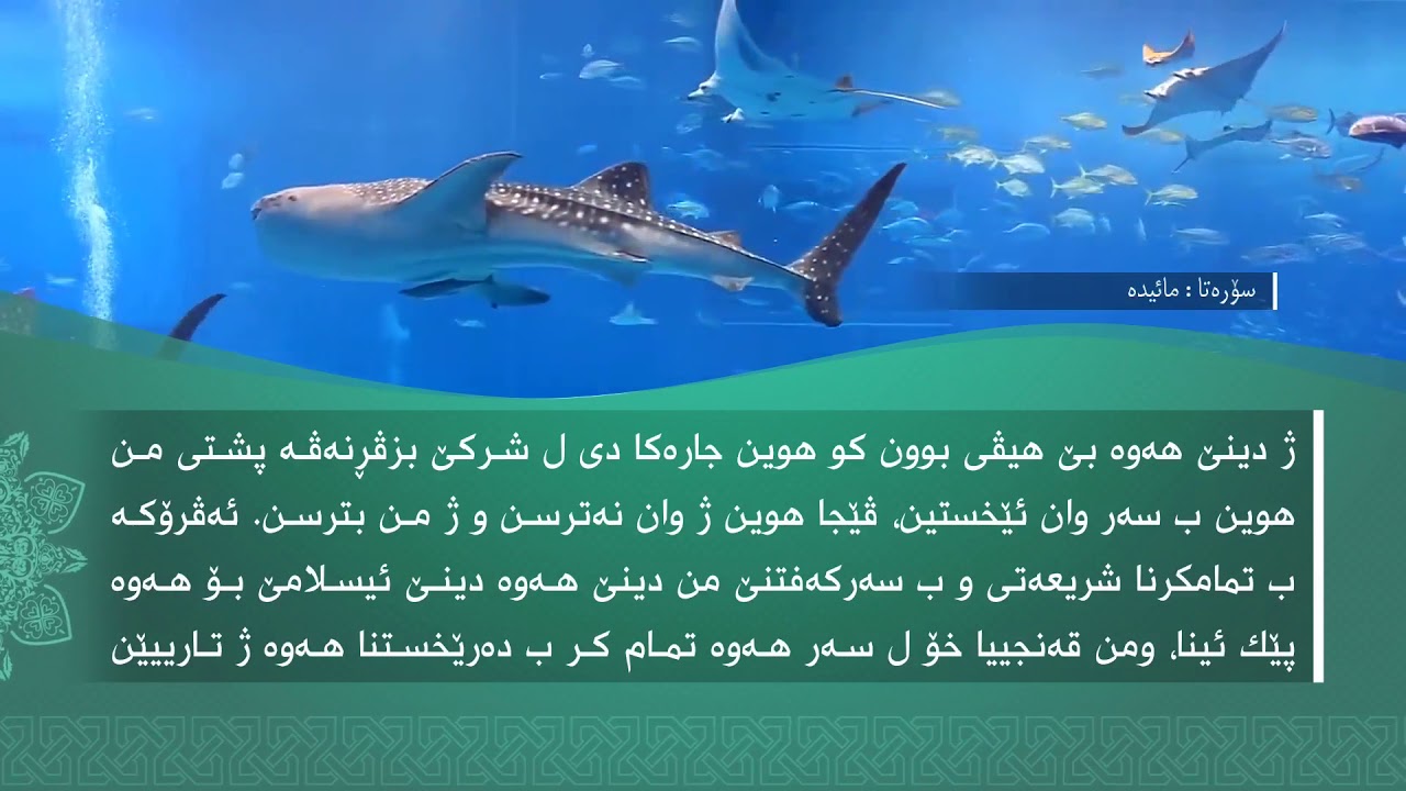 تەفسیرا سوورەتا المَائدة