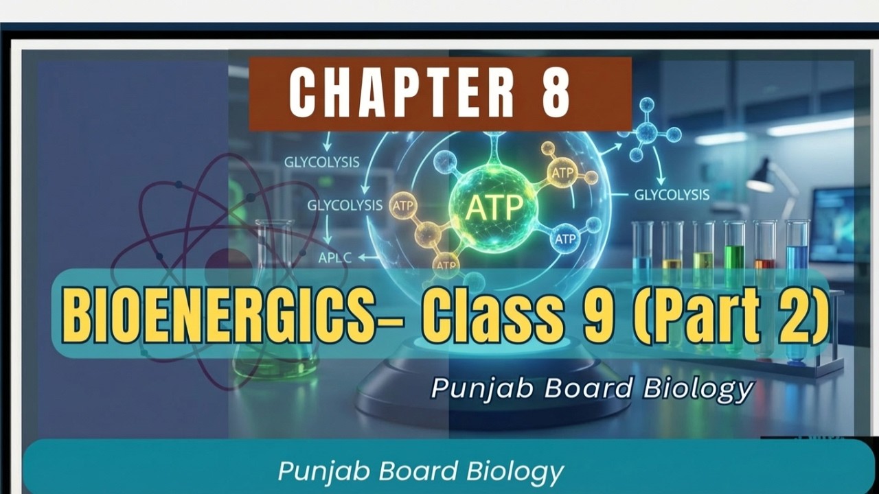Class 9 Biology Chapter 8 Bioenergetics Part 2 | New Punjab Textbook Board