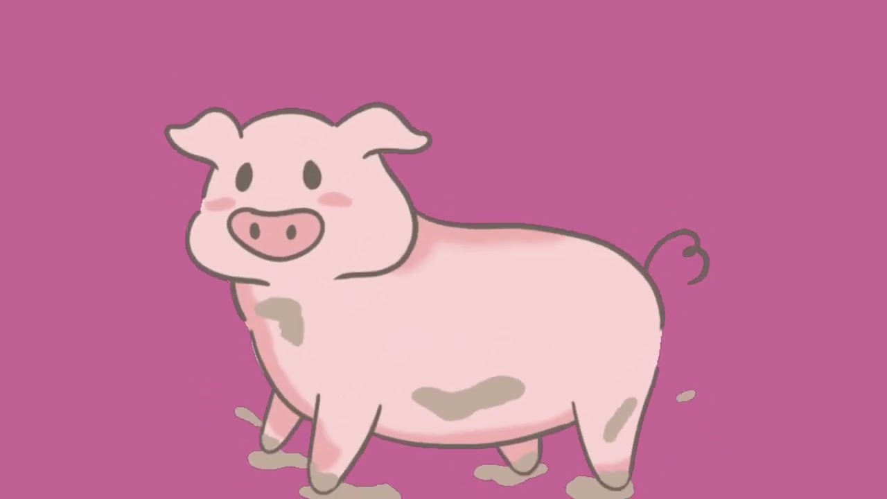 Gentle stimulating babysensory animals & colors | zachte stimulerende  dieren & kleuren voor baby's