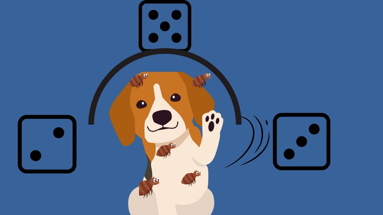Mon chien loulou  (décomposition du nombre 5)