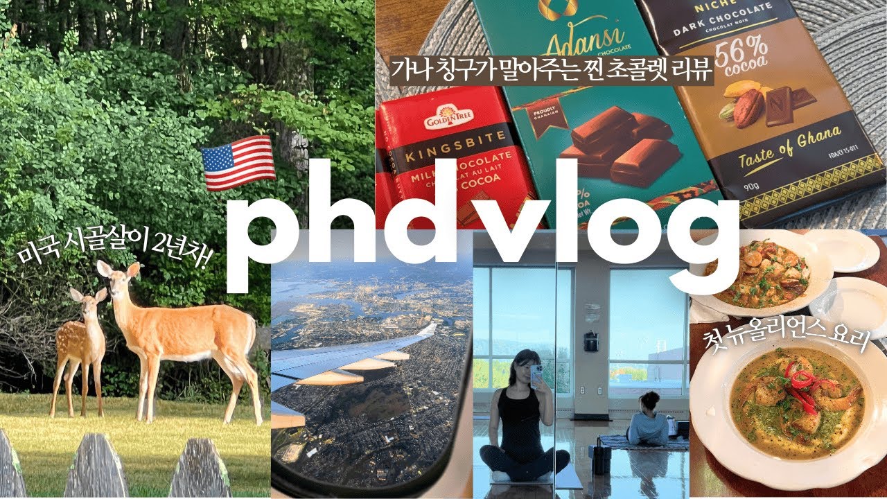 🇺🇸 박사과정 VLOG | 새로운 랩에서 살아남기 (1년차 회고)