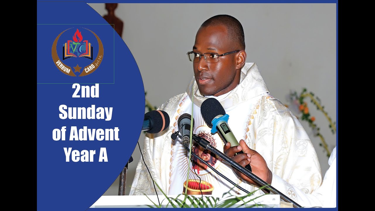 Homily for second Sunday Advent year A/ Homily for 07/12/2025