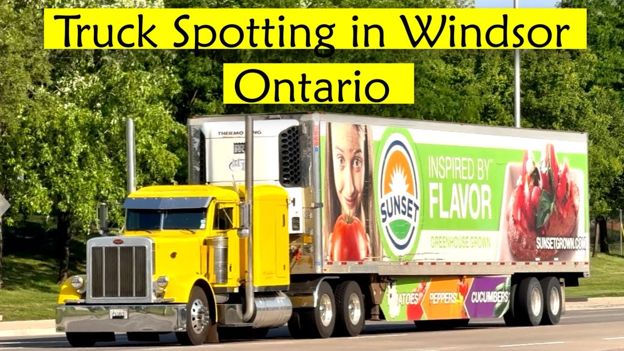 Truck Spotting in Windsor, Ontario, Canada#32🇨🇦#bigrig #truckspotting#trucklovers #trucklovers
