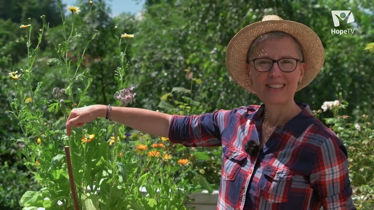 Mein Insektenbalkon – blühende Vielfalt | „Gabis Garten“ mit Gabi Pratz