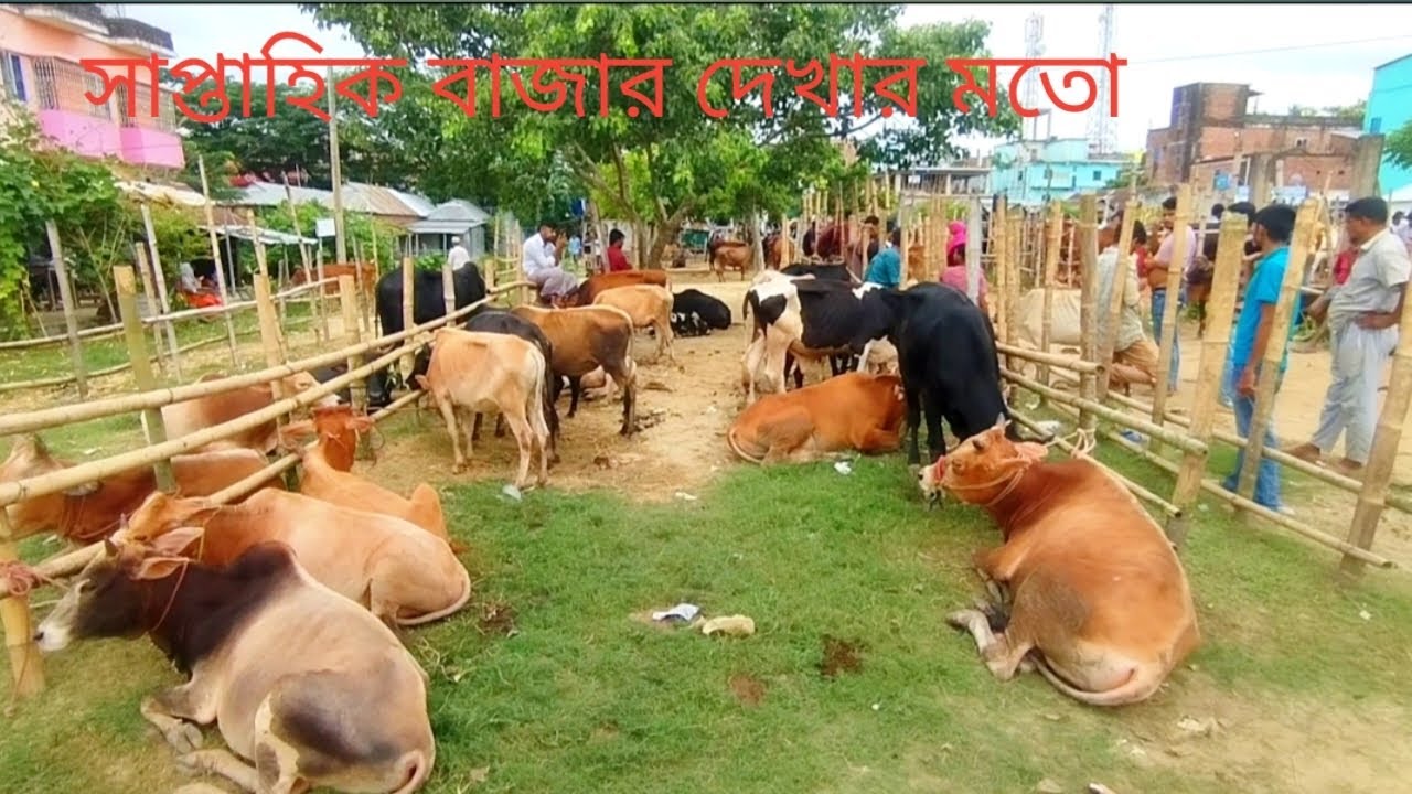  কুমিল্লা কসবা সুশীতল নয়নপুর বাজার #evening 