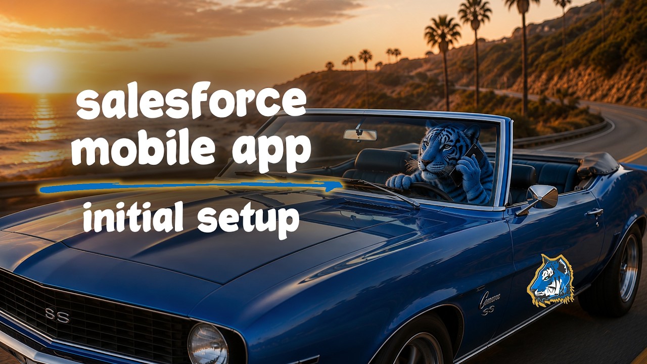 Мобильное приложение Salesforce &mdash; начальная настройка и конфигурация