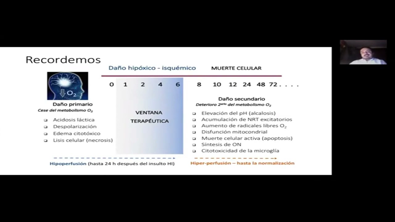 CLASE 4 La Monitorizacion de la oxigenacion cerebral en la Encefalopatia neonatal.