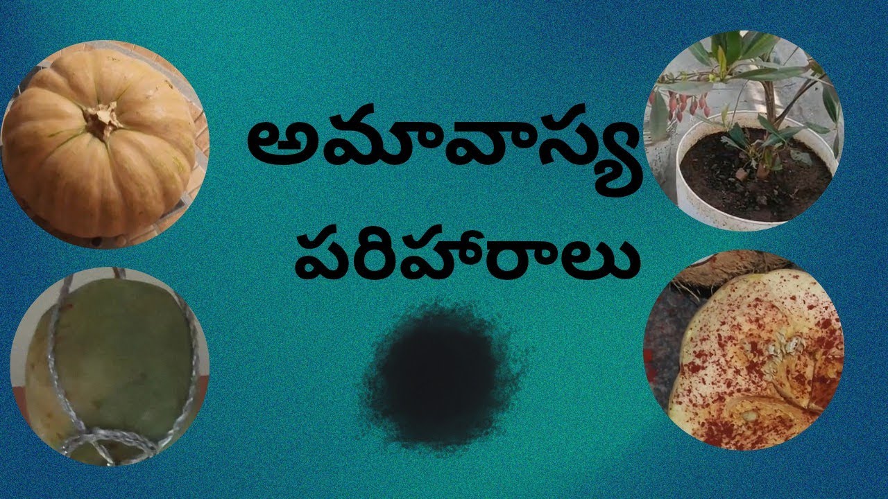 అమావాస్య రోజు చేసిన పరిహారాలు #amavasya #dailyvlog #dailyroutine #viralvideo#viral #dailyroutinevlog