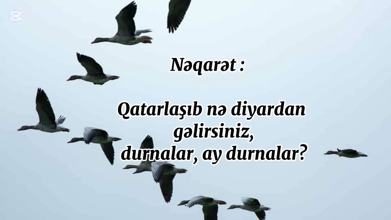 Durnalar ay durnalar karaoke