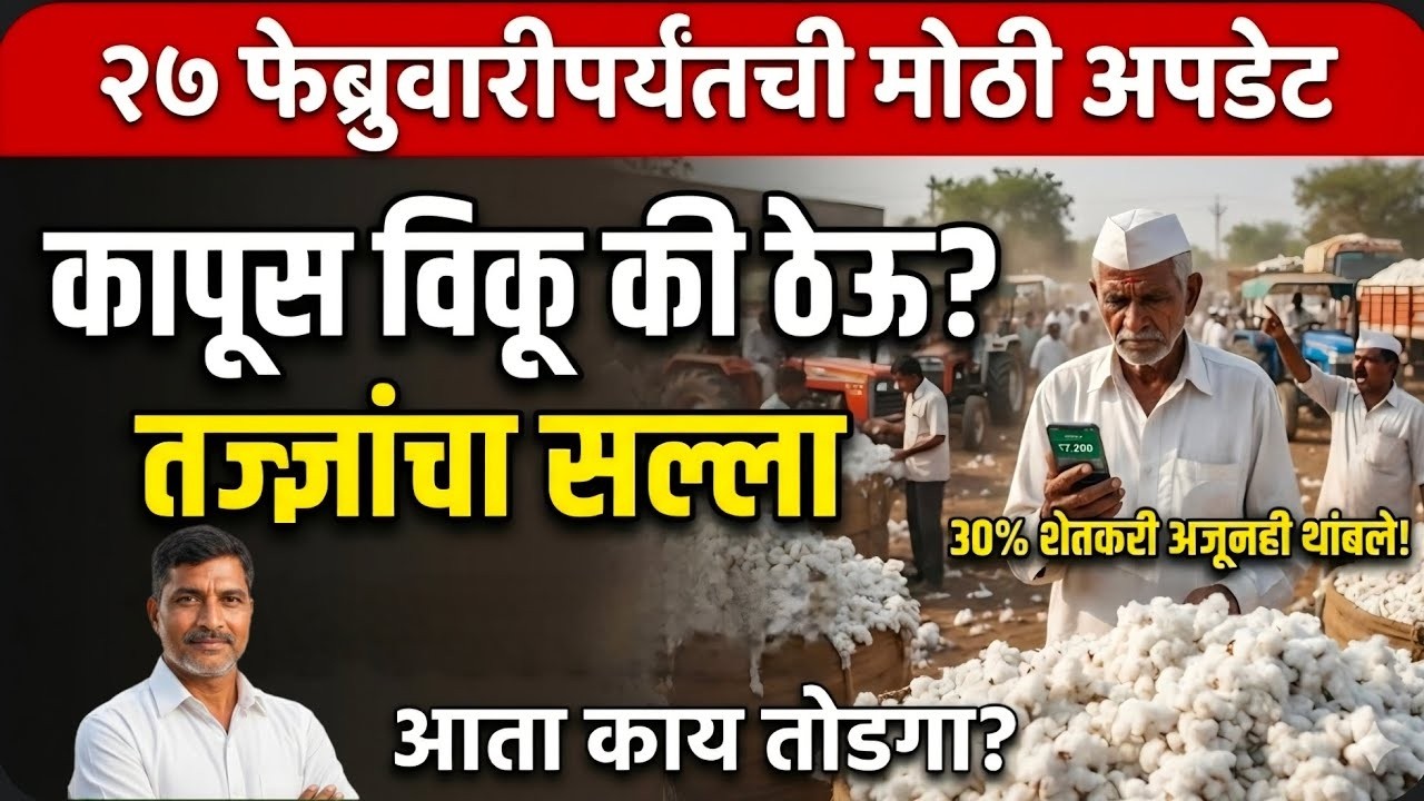 ⚠️ कापूस विकावा की थांबावे? २७ फेब्रुवारी नंतर बाजारात काय होणार? | Kapus Bajar Bhav Maharashtra