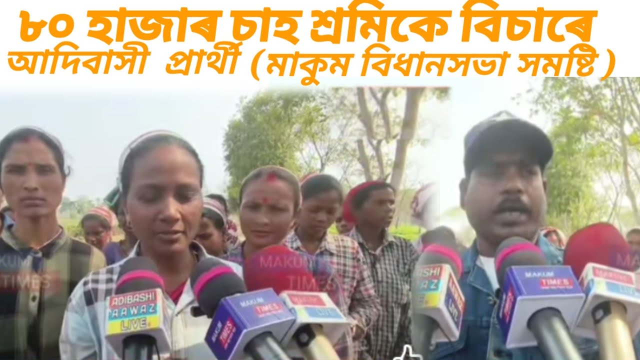 ৮০ হাজাৰ চাহ শ্ৰমিকে বিচাৰে আদিবাসী  প্ৰাৰ্থী / মাকুম বিধানসভা সমষ্টি 