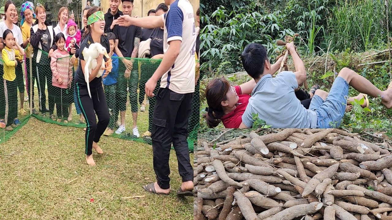 Phong took the mother and child to go to the Long Tong festival and harvest cassava roots |Mi mủi