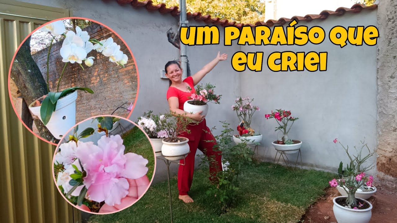 ISSO SIM E RIQUEZA !TOUR PELAS PLANTAS DO MEU JARDIM SIMPLES !!
