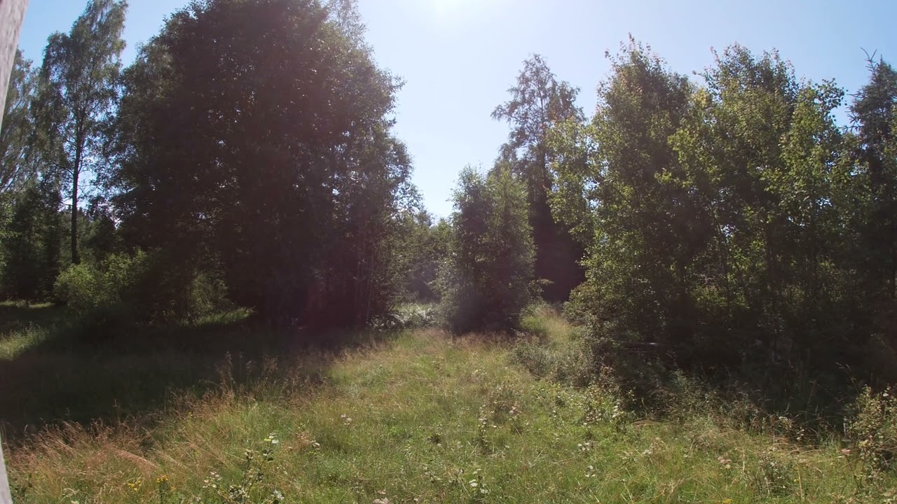 Some relaxing nature