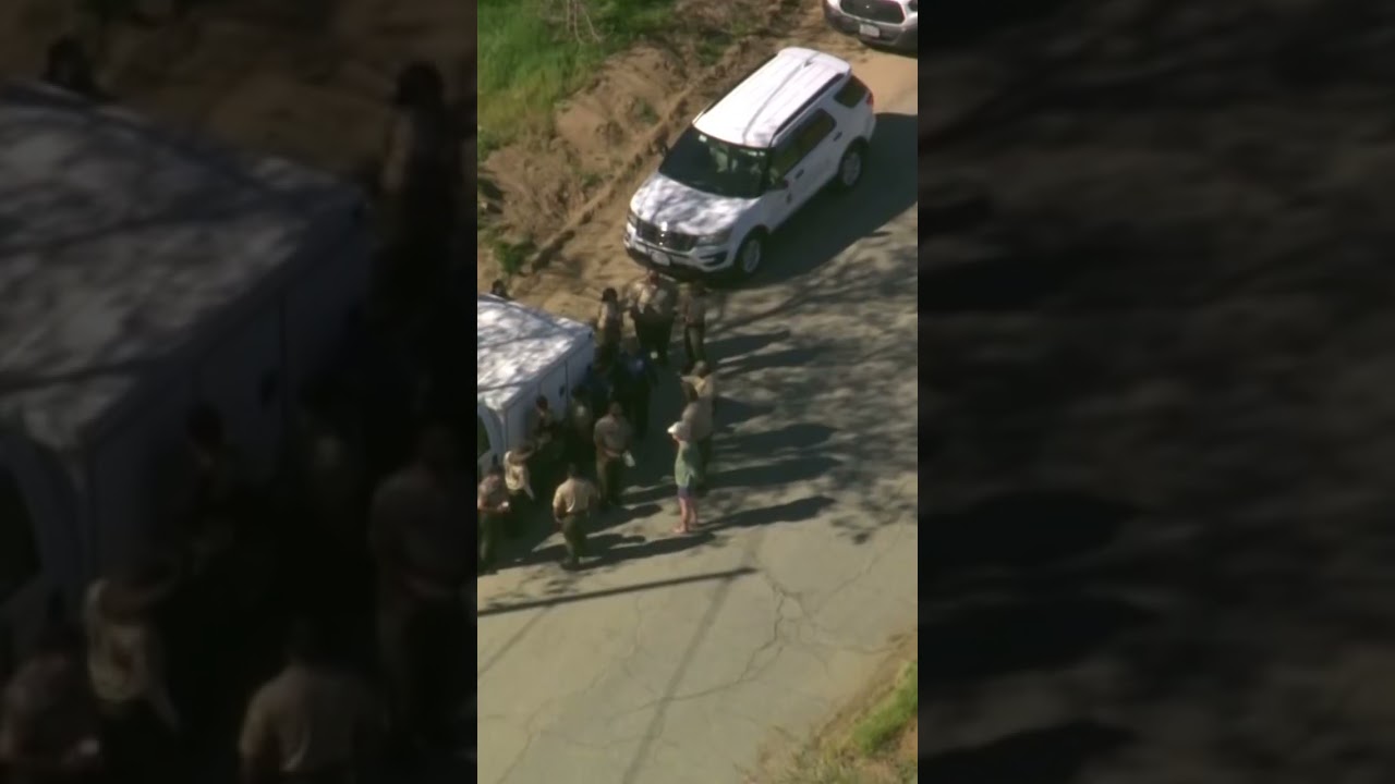 About 700 cats and dogs rescued at Lake Hughes property