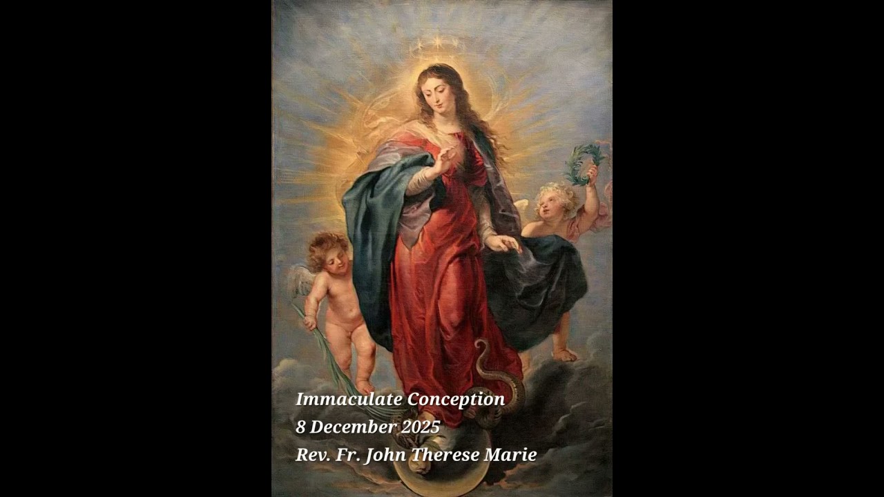 Immaculate Conception, 8 December 2025, Mary Immaculate, Our Sure Path to the Sacred Heart