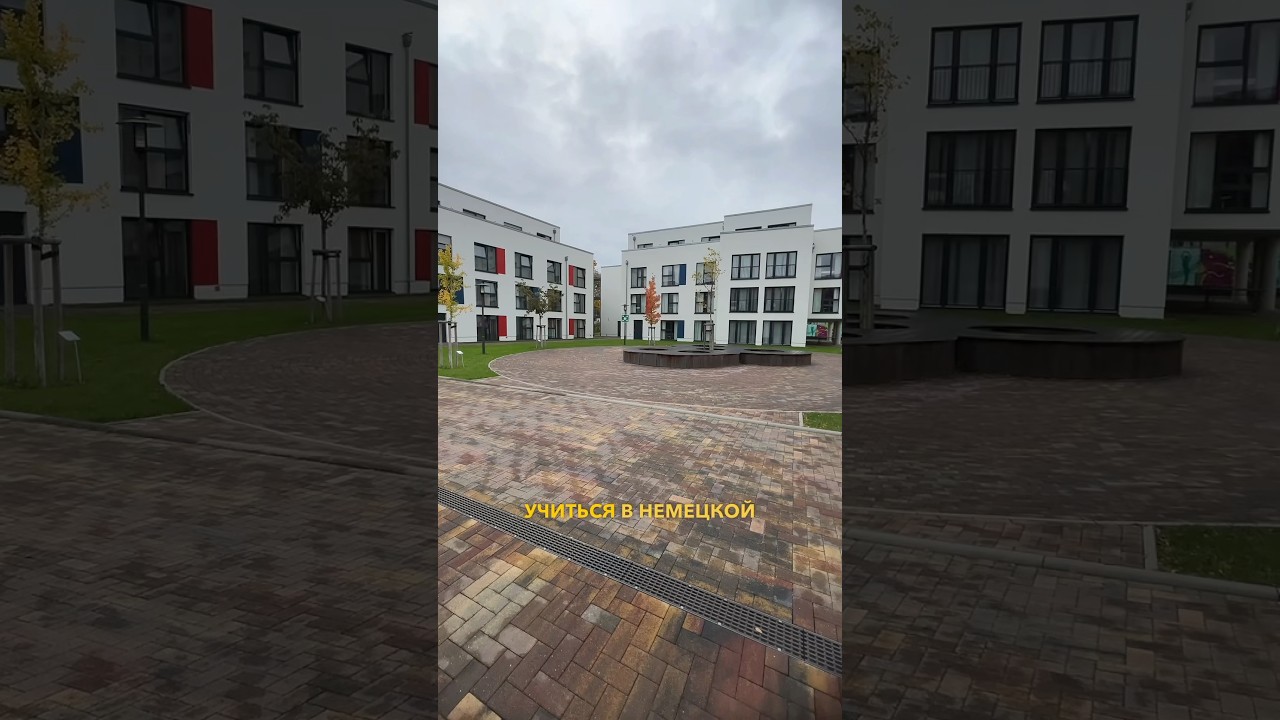 КОНТРАКТ С ЛУЧШЕЙ ОБЩЕОБРАЗОВАТЕЛЬНОЙ ШКОЛОЙ В БЕРЛИНЕ 🥳🏫 #germany #school #education #highlights