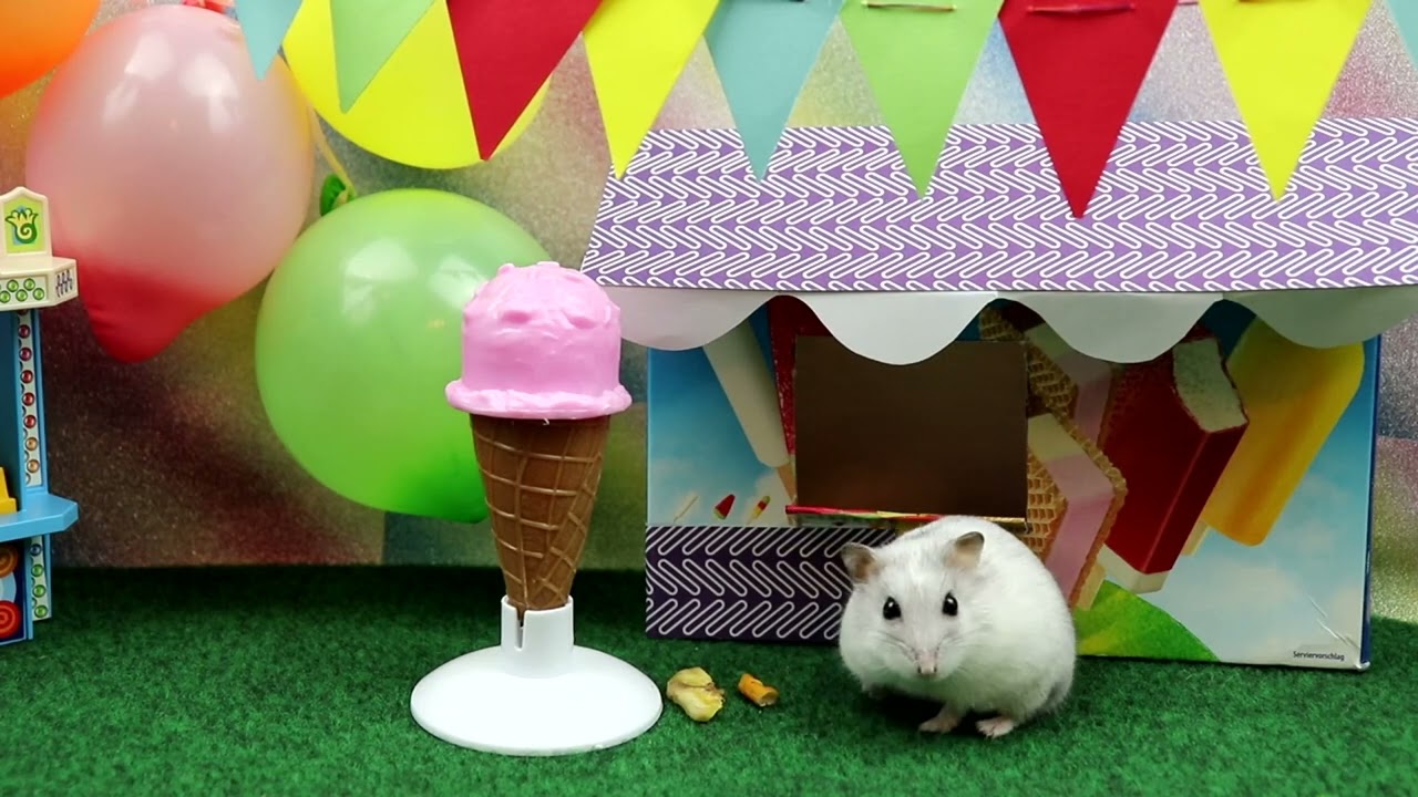 Hamster in the Amusement Park / Hamster im Freizeitpark