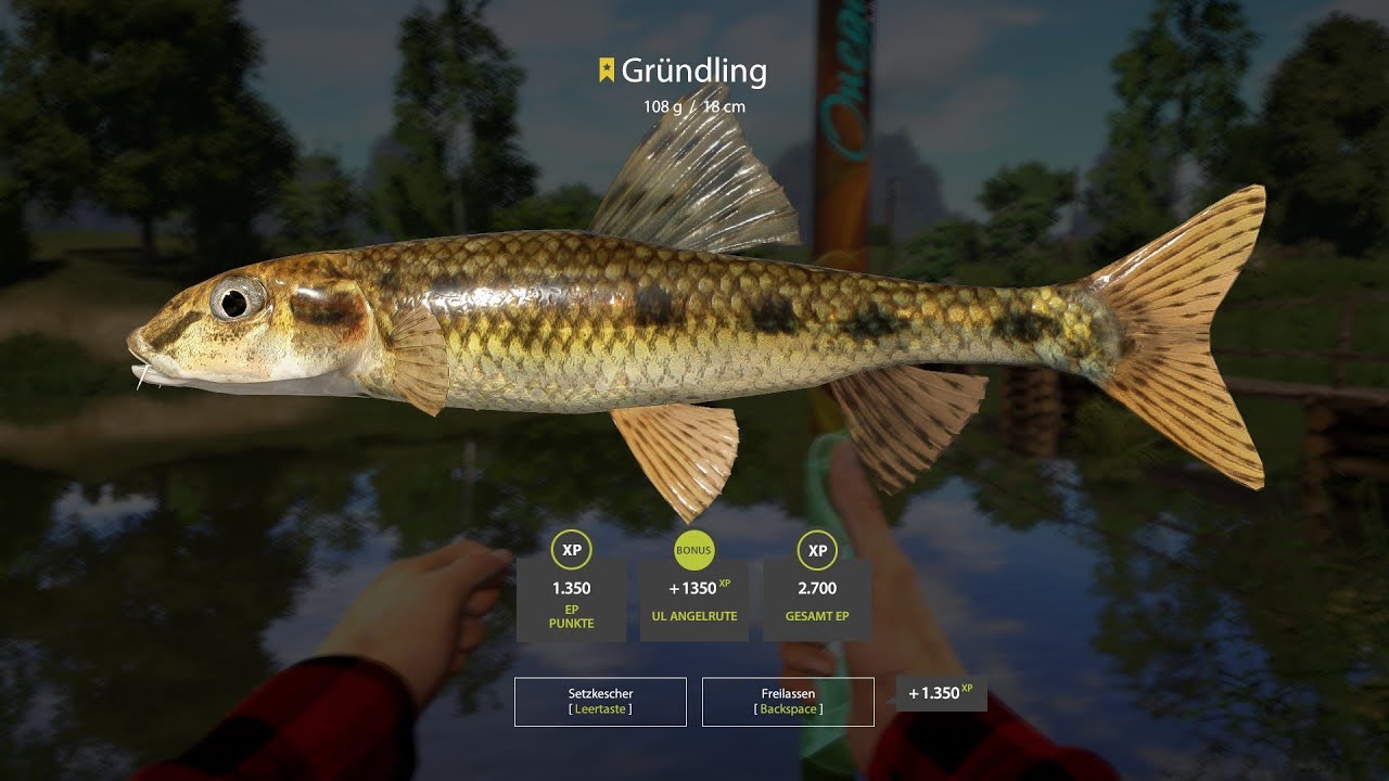 Russian Fishing 4. Hasel und Gründling am Windenbach.