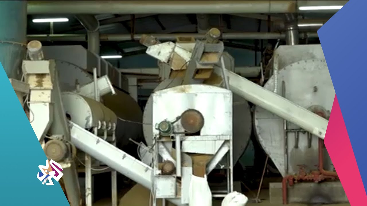 كيف تتم عملية صناعة دقيق السمك في شبه جزيرة نواذيبو شمالي موريتانيا؟│ عين المكان