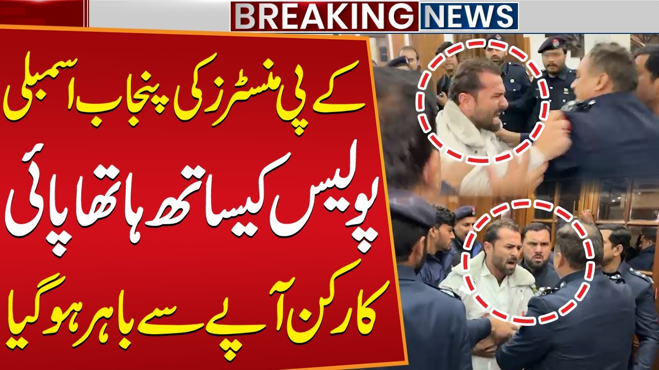 KP Ministers Clash with Police at Punjab Assembly | PTI Workers Huge Fight with Police | Public News