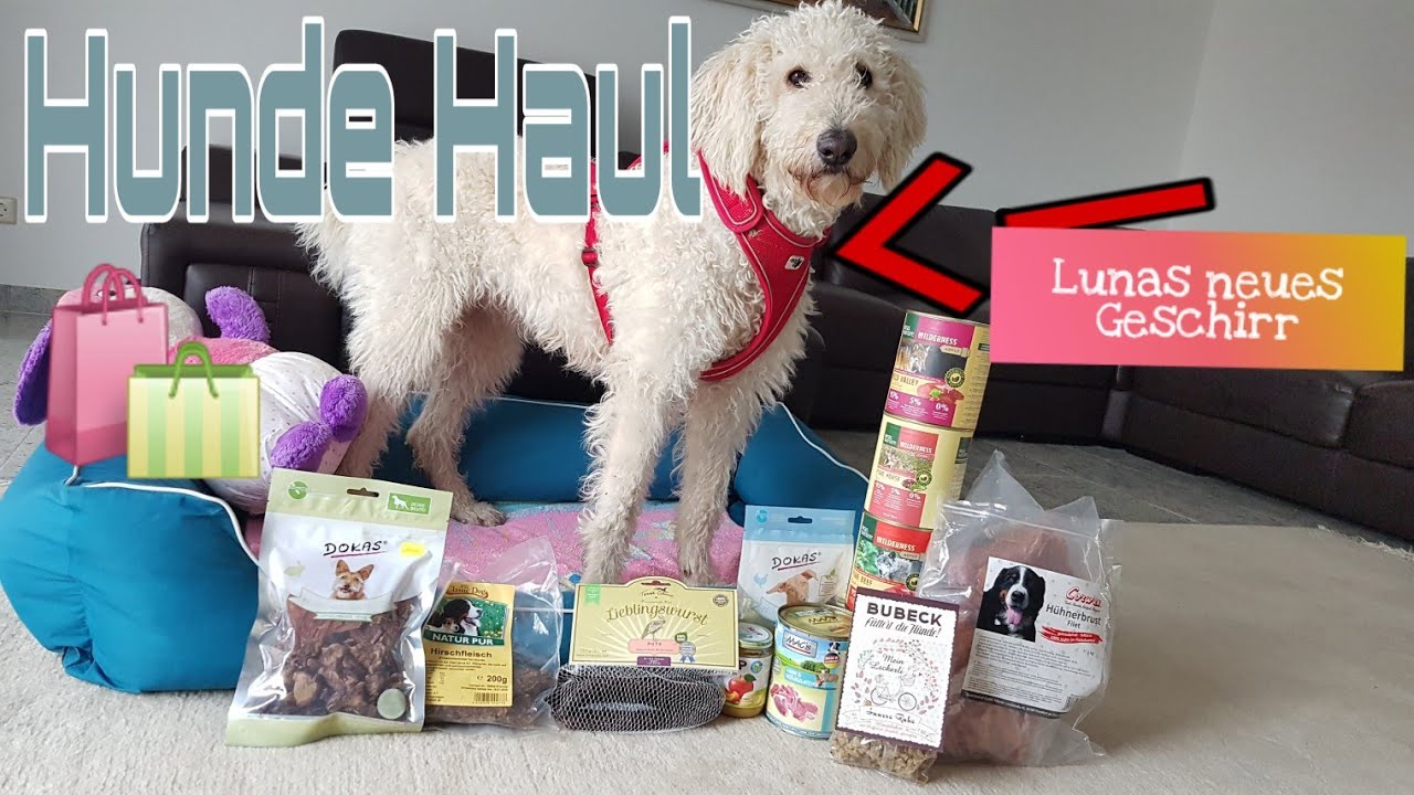 Kölle-Zoo Haul ❤| Neues Hundegeschirr 🐕| Luni cia
