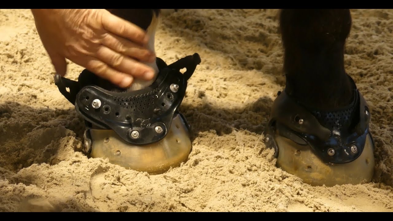 Anpassungen am Floating Boot Hufschuh (Frontshield, Gaiter)
