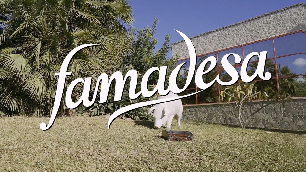 [TEASER] Compartiendo nuestros mejores deseos. 50 años contigo | FAMADESA