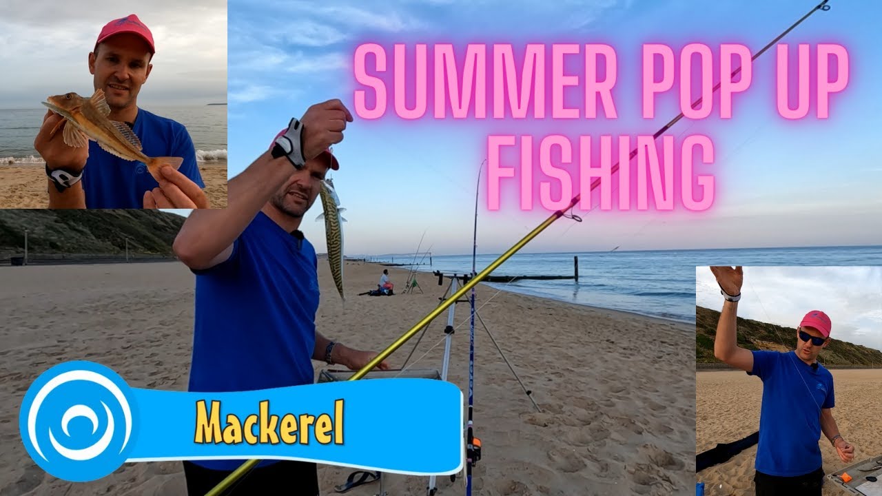 Летнее пляжное рыболовное безумие – макрель, скаты и многое другое! 🎣