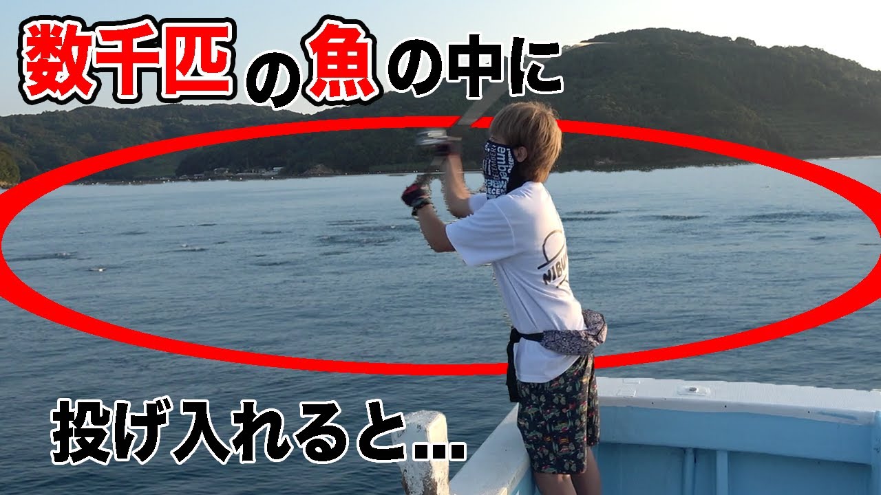 釣り場に向かっていたら目の前に数千匹の魚群が現れた！！