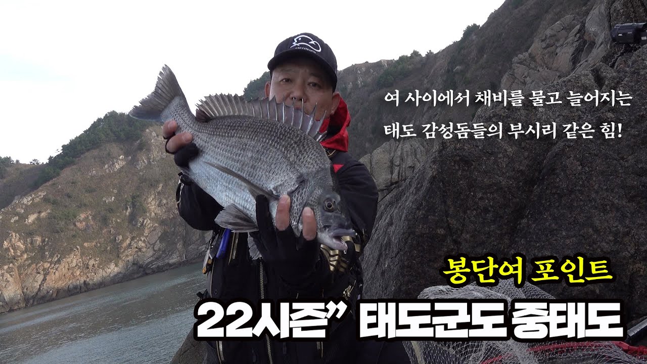 신안군 태도 중태도 서편 봉단여