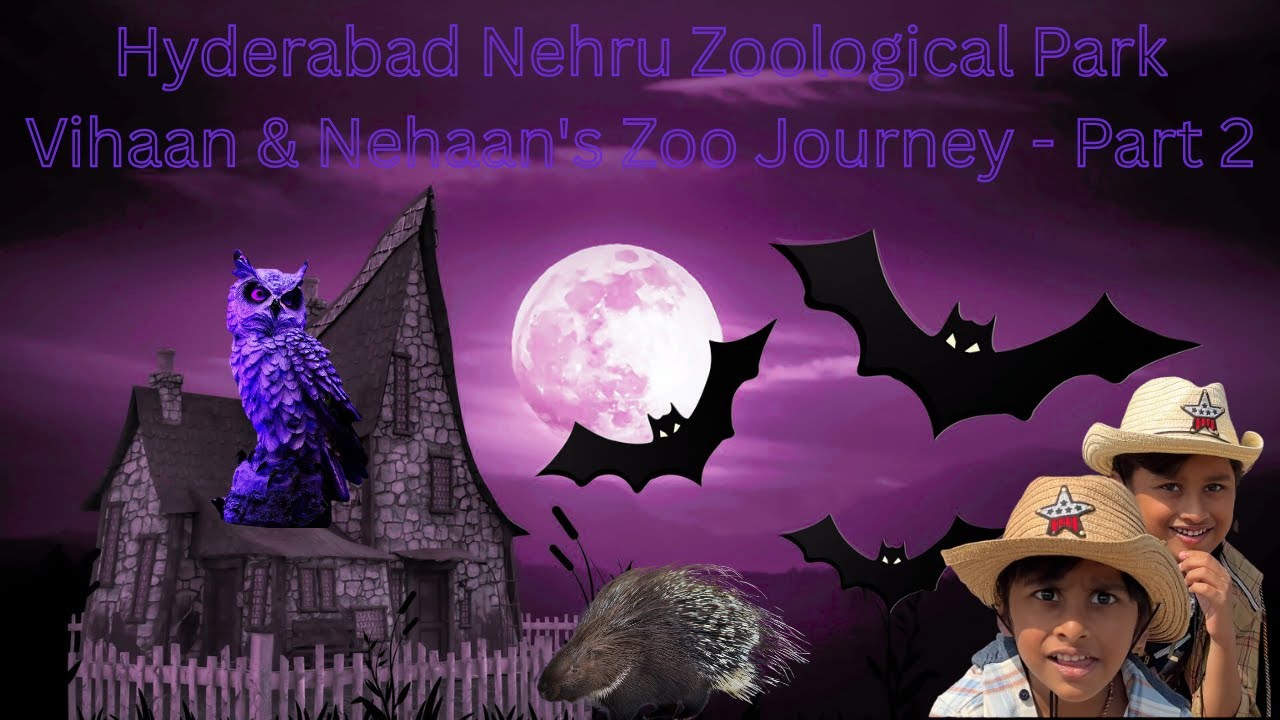 Hyderabad Nehru Zoological Park Vihaan & Nehaan's Zoo Journey   Part 2