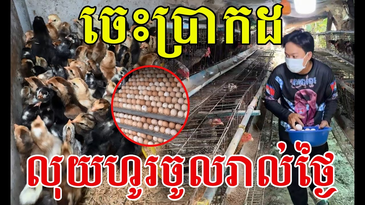 ចេះច្បាស់គឺចឹង លុយចូលរាល់ថ្ងៃ