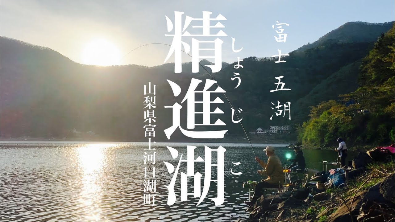 地合いが来ると信じると良い事ある精進湖 へらぶな釣り