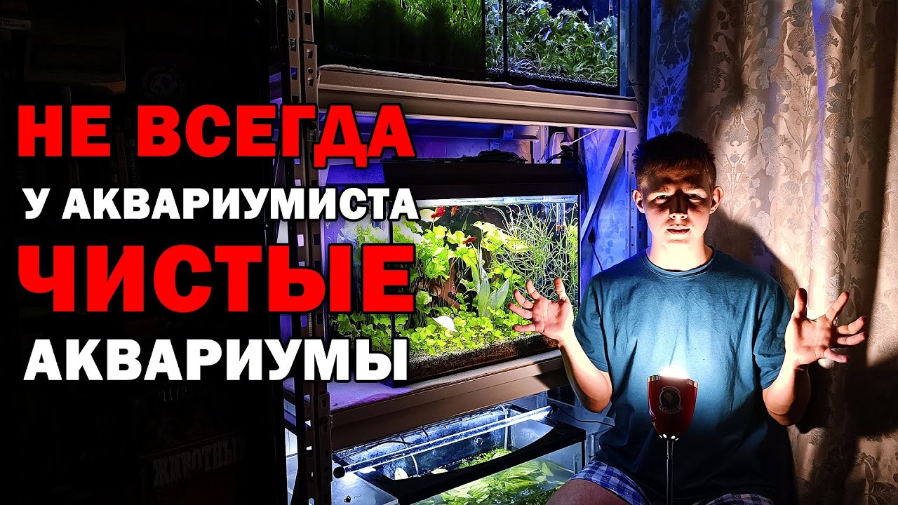 Это бывает с КАЖДЫМ аквариумистом! Юный Аквариумист обленился и не чистит аквариумы!