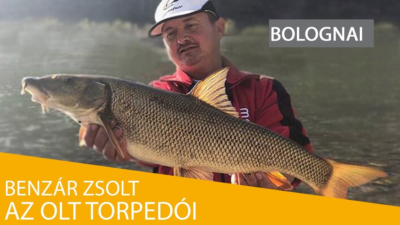 Az Olt torpedói