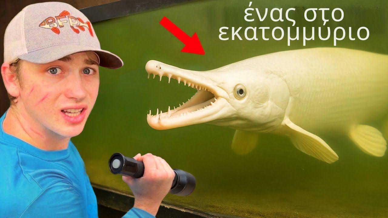 Αγόρασα το πιο σπάνιο ψάρι στον κόσμο!