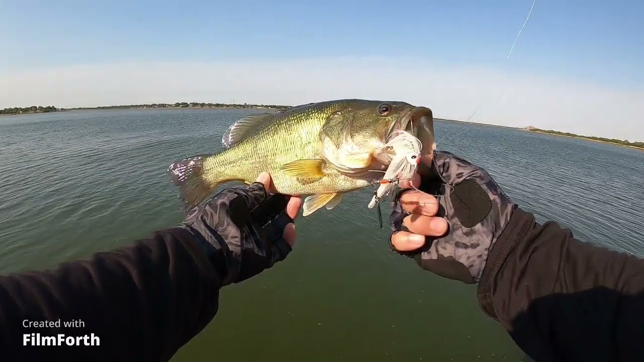 Lake Wichita SNAKE INFESTED waters