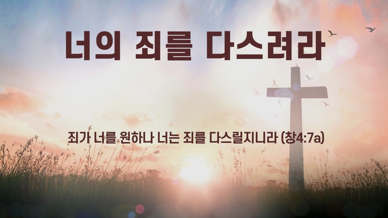 2026년 2월 24일 오늘의 말씀묵상