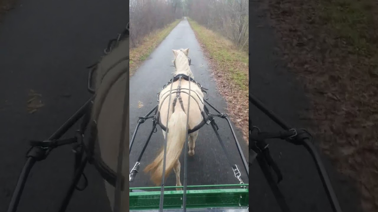 ASR Kutschen, welche Scheren Breite bei Kutschen.