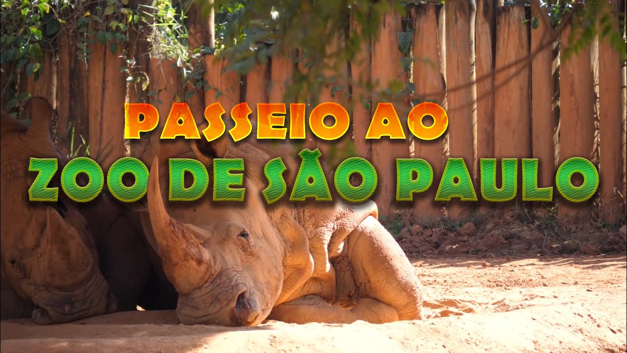 Passeio ao Zoo de São Paulo