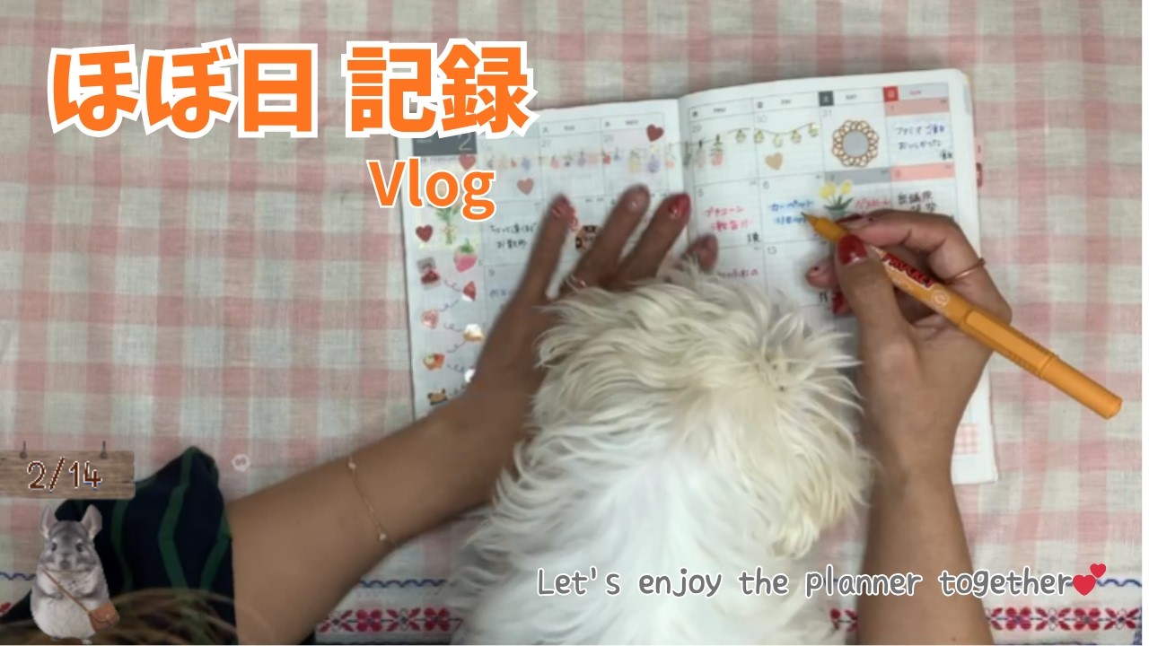 【ほぼ日 記録 Vlog】いろいろ食べた日の手帳時間｜クッキーも登場🐶📔