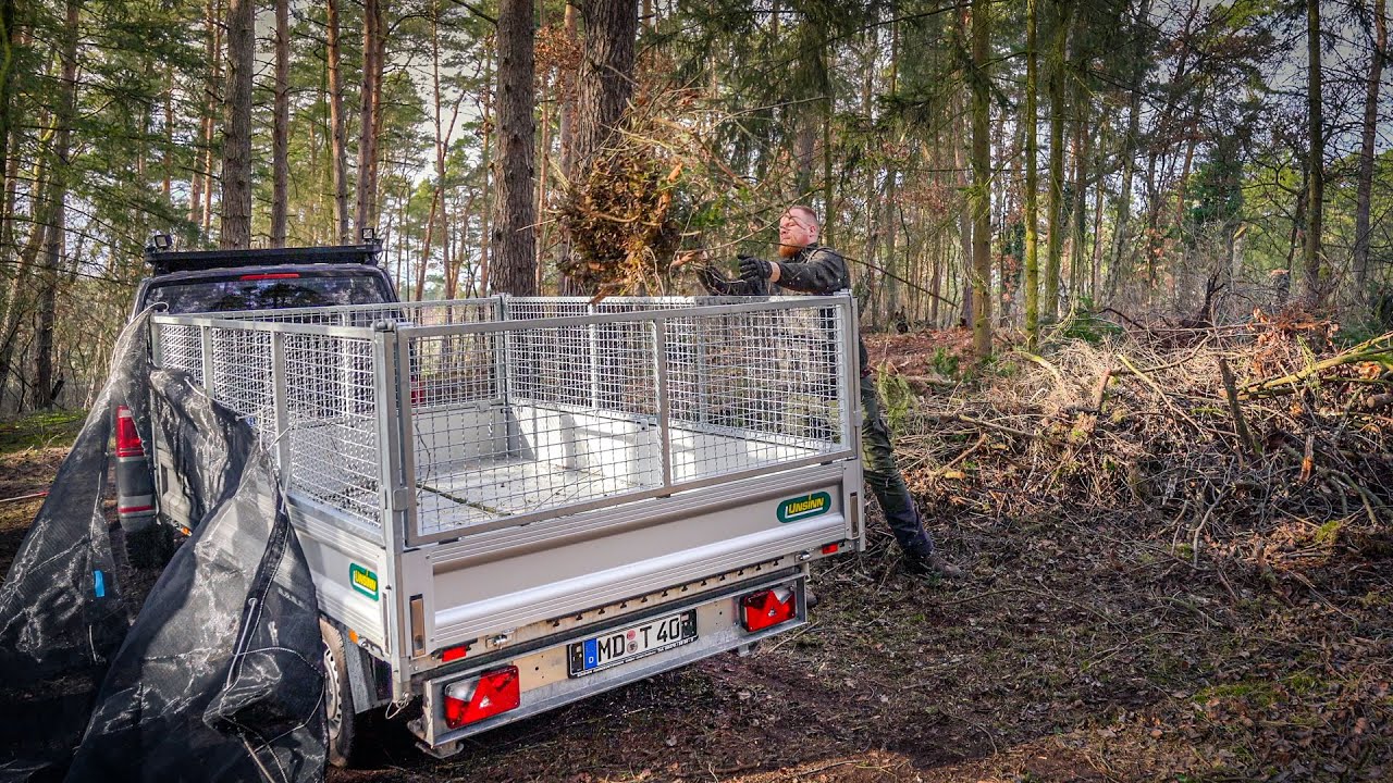 Große Veränderungen im Wald 🌲