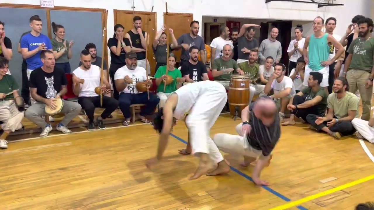 Sabia e Cenoura. Caesaria 2023